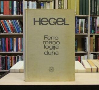 FENOMENOLOGIJA DUHA