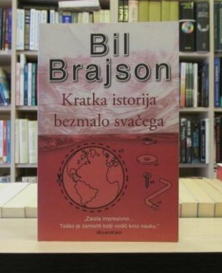 KRATKA ISTORIJA BEZMALO SVAČEGA